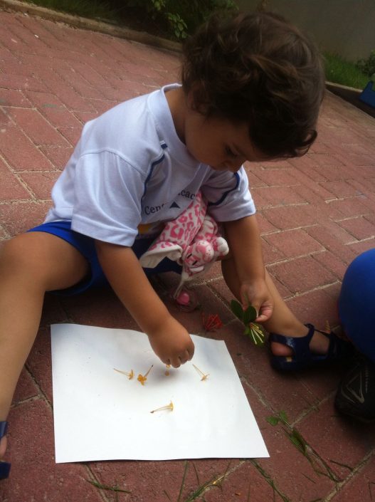 Arte Em Colagem Com Elementos Da Natureza Escola Intera O